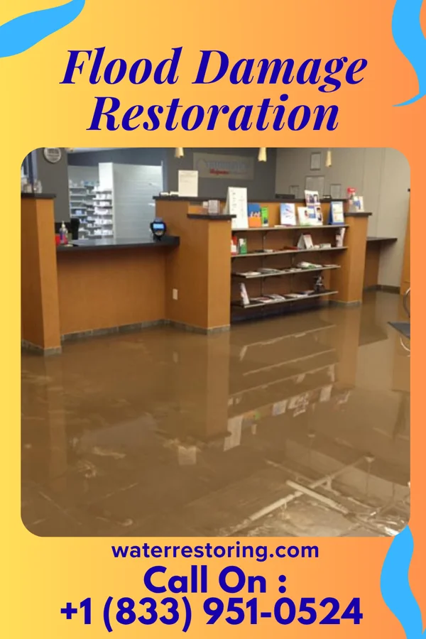 Flood Damage Restoration in New Minden, IL