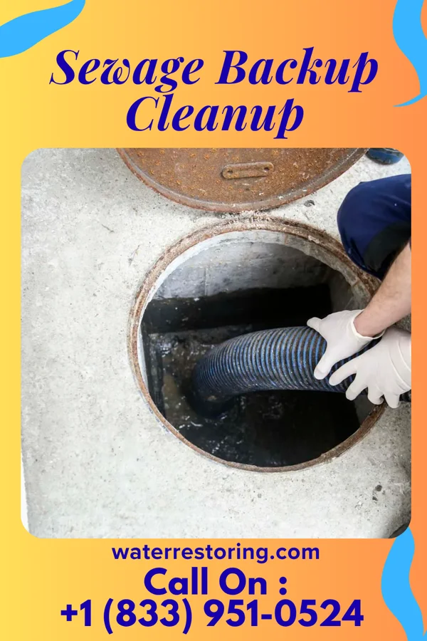 Sewage Backup Cleanup in New Minden, IL