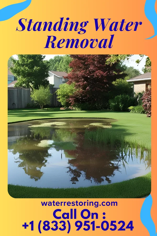 Standing Water Removal in New Minden, IL